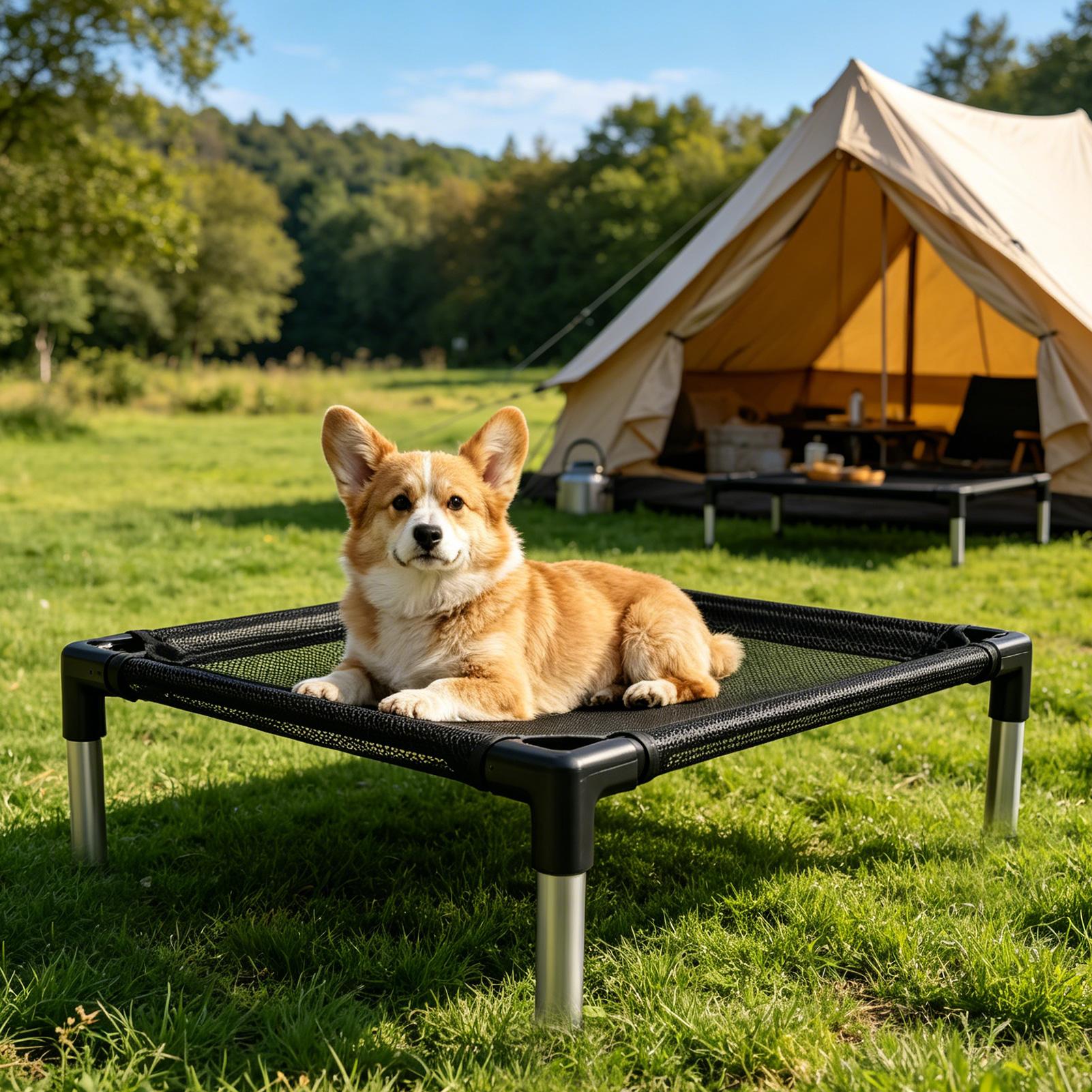 Outdoor Camping Dog Bed - Yüksek Köpek Yatağı Nefes Alabilen Fileli