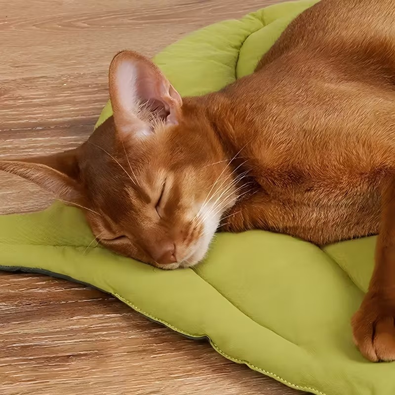 Çift Taraflı Yumuşak Yaprak De - Outdoor Camping Dog Bed incelemesi ve fiyatı