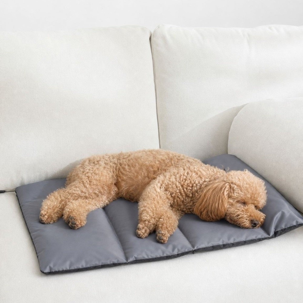 Katlanabilir Evcil Hayvan Uyku - Outdoor Camping Dog Bed incelemesi ve fiyatı