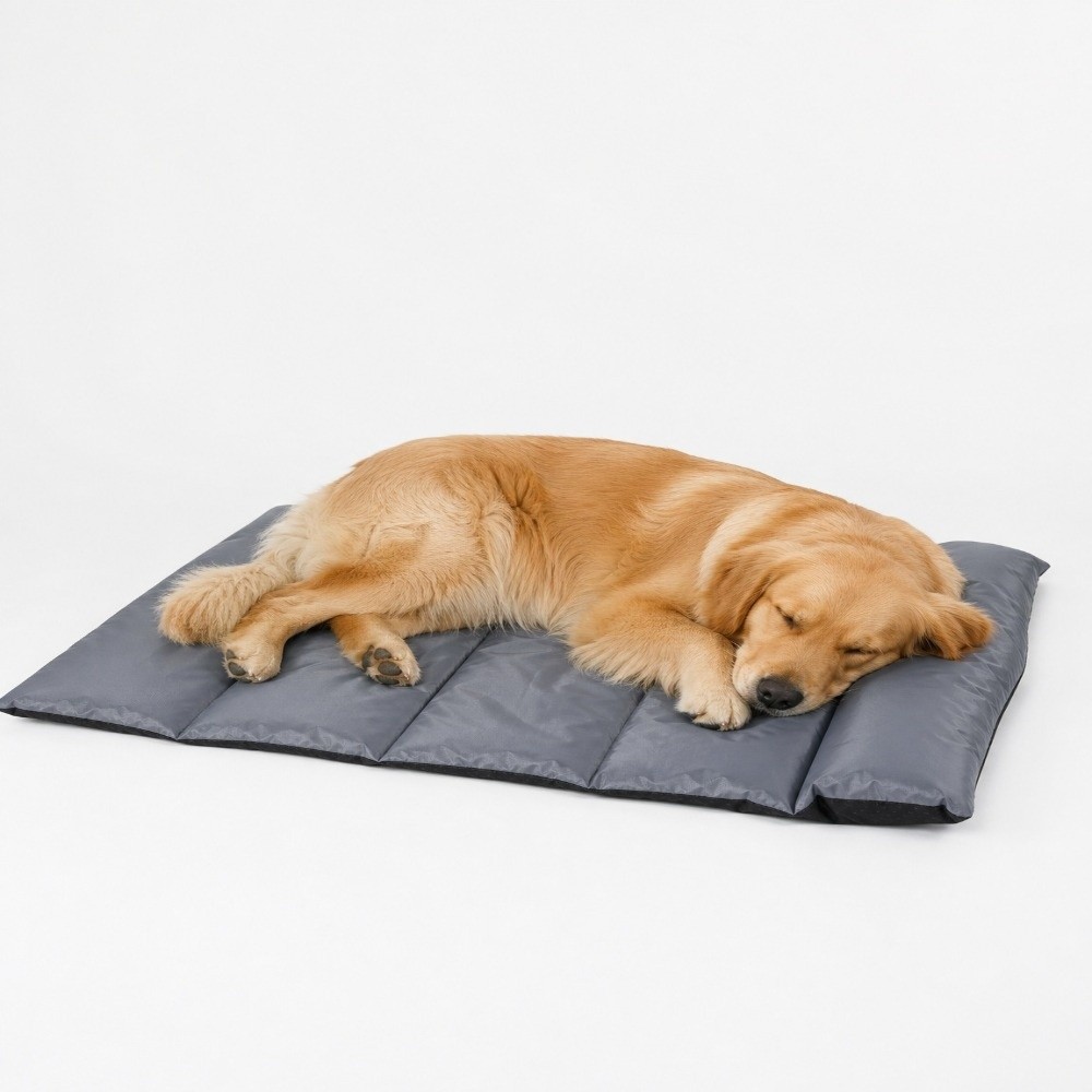 Katlanabilir Evcil Hayvan Uyku - Outdoor Camping Dog Bed incelemesi ve fiyatı
