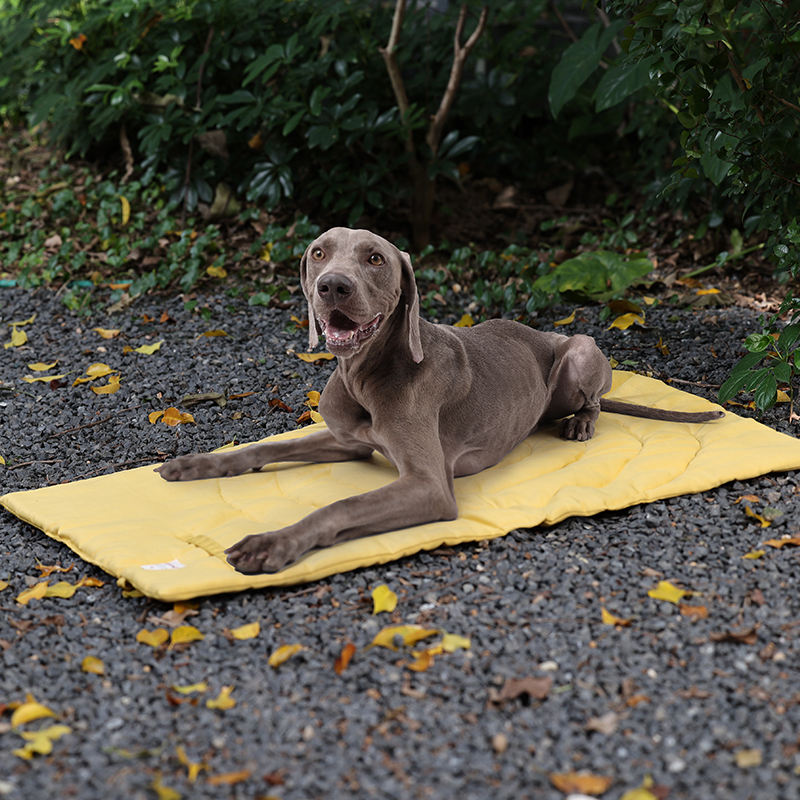 Taşınabilir Pet Mat katlanabil - Outdoor Camping Dog Bed incelemesi ve fiyatı