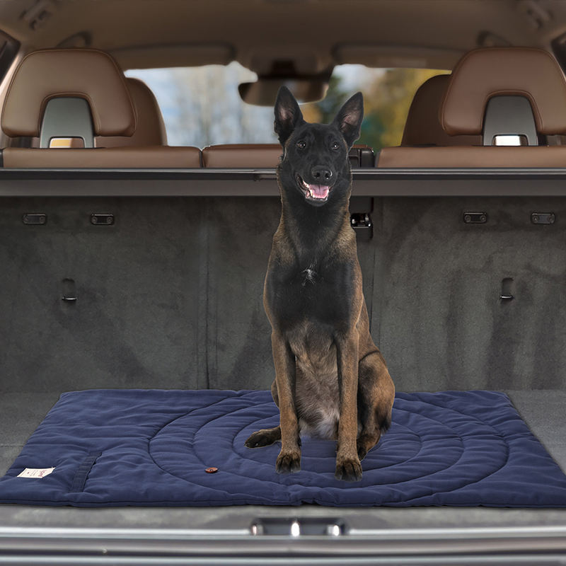 Taşınabilir Pet Mat katlanabil - Outdoor Camping Dog Bed incelemesi ve fiyatı