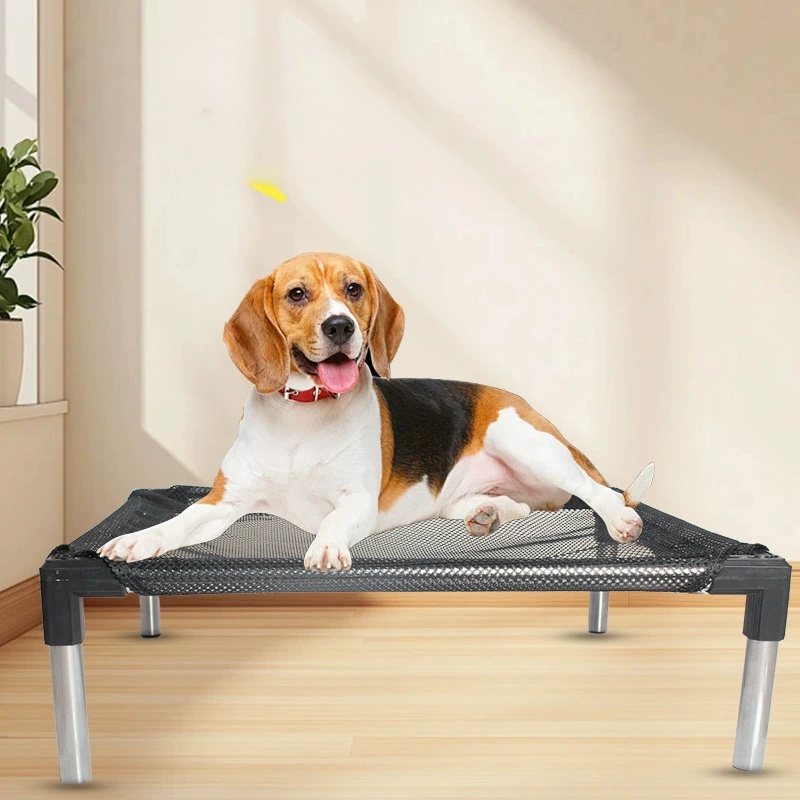 Soğutma Yükseltilmiş Köpek Yat - Outdoor Camping Dog Bed incelemesi ve fiyatı