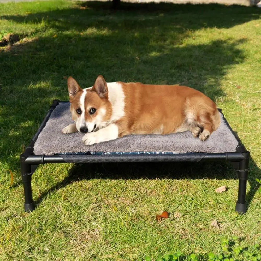 Açık Hava Yüksek Köpek Yatağı, - Outdoor Camping Dog Bed incelemesi ve fiyatı