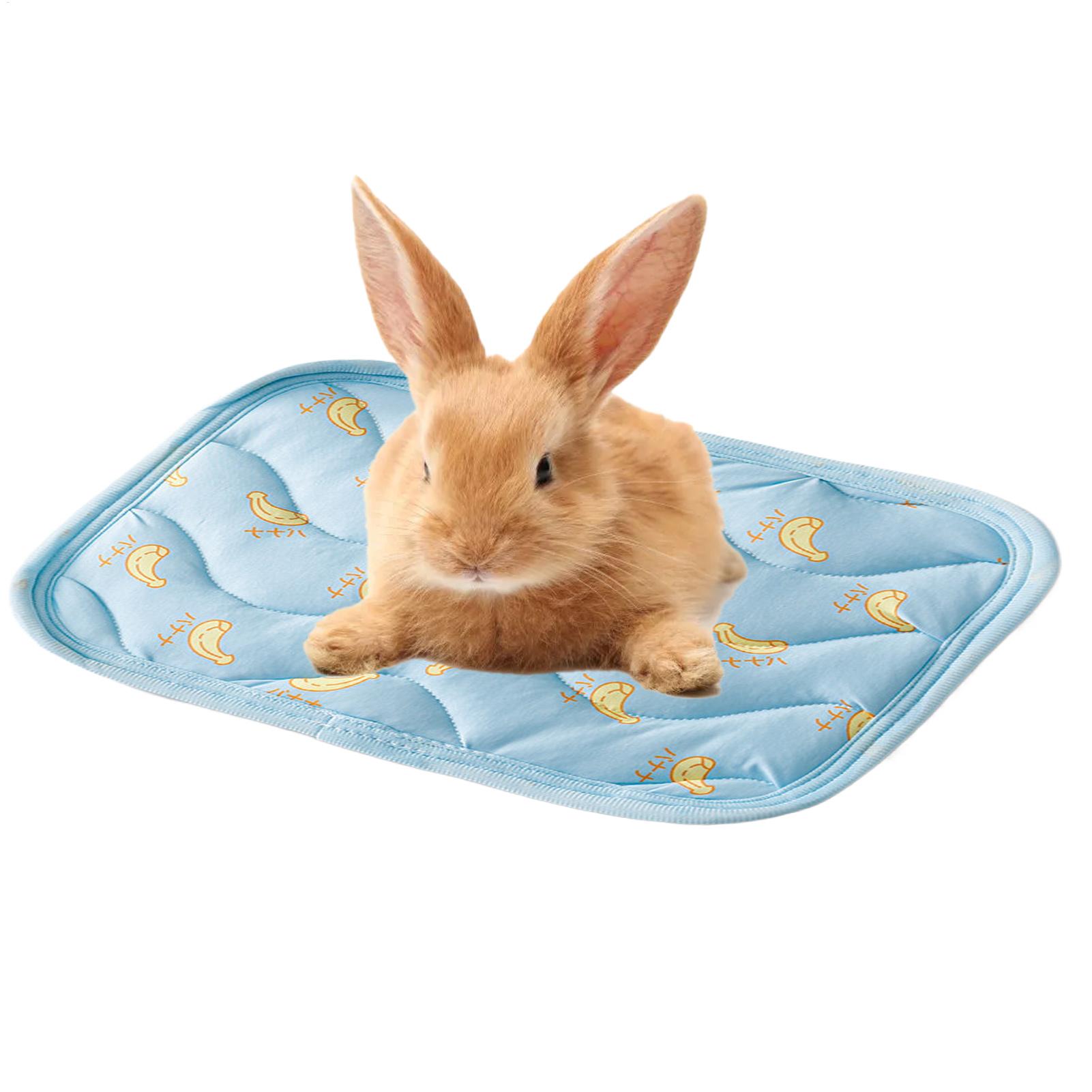 Taşınabilir Dayanıklı Evcil Ha - Outdoor Camping Dog Bed incelemesi ve fiyatı
