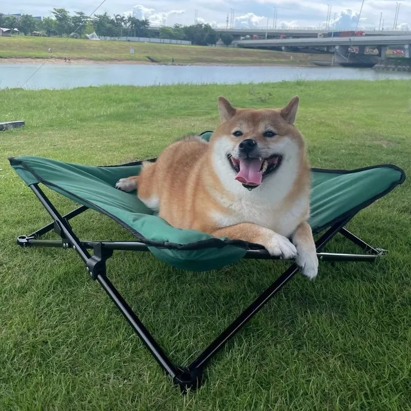 Lüks Modern Taşınabilir Köpek  - Outdoor Camping Dog Bed incelemesi ve fiyatı